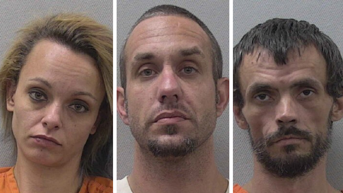 3 arrested in Pelion chop shop operation