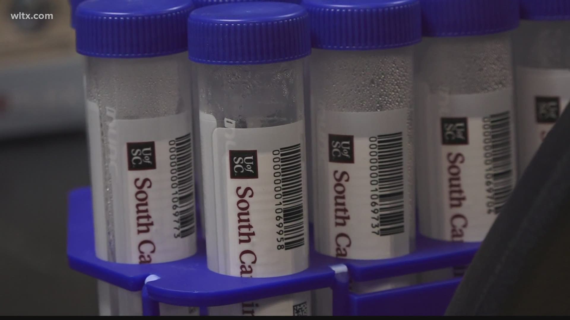 Officials with the S.C. Department of Health and Environmental Control (DHEC) say they hope to make use of saliva tests developed at USC.