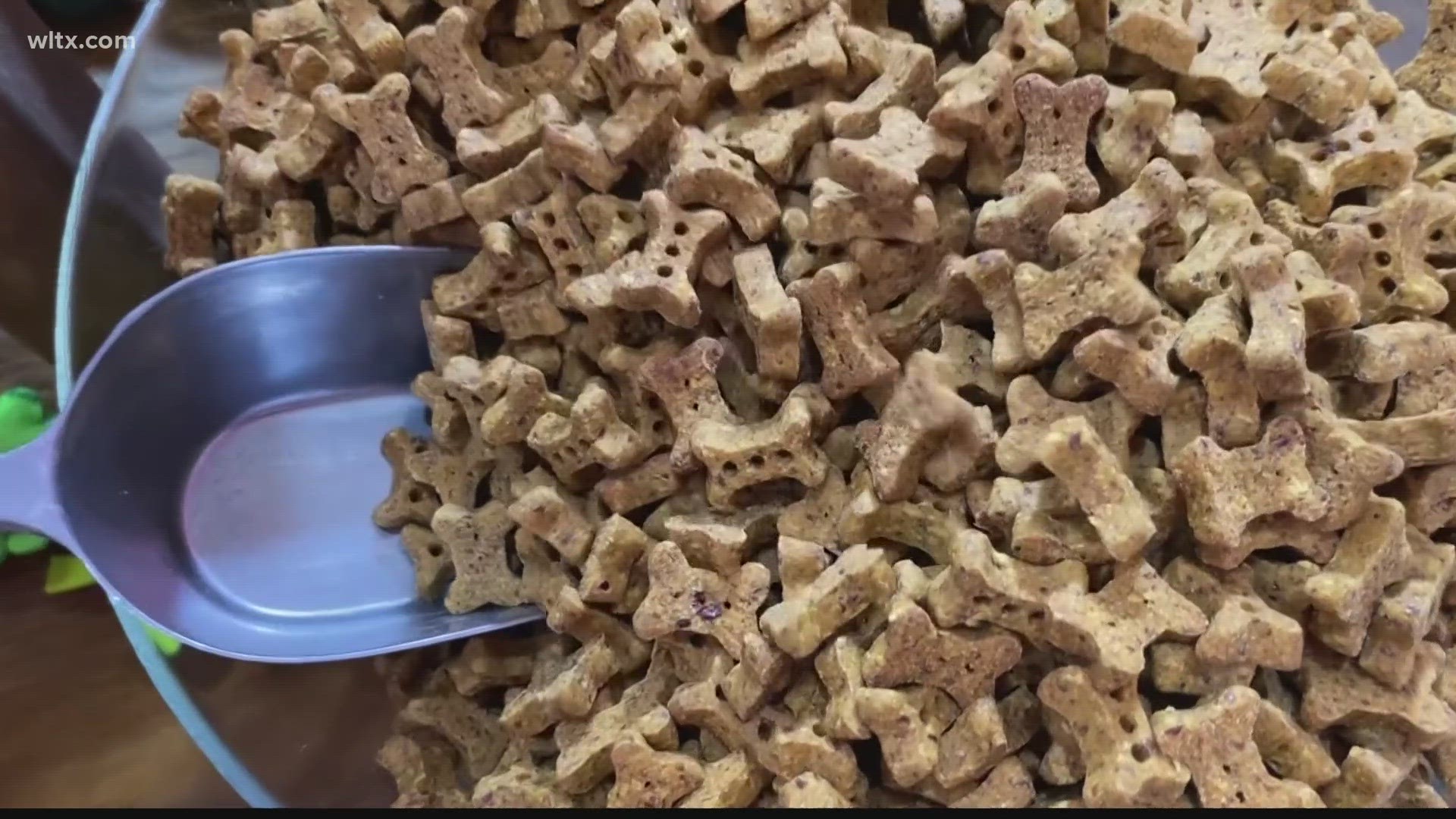 Wanting to make sure your pet's food is safe, some pet owners are turning to their kitchen to whip up treats for their four-legged friends.