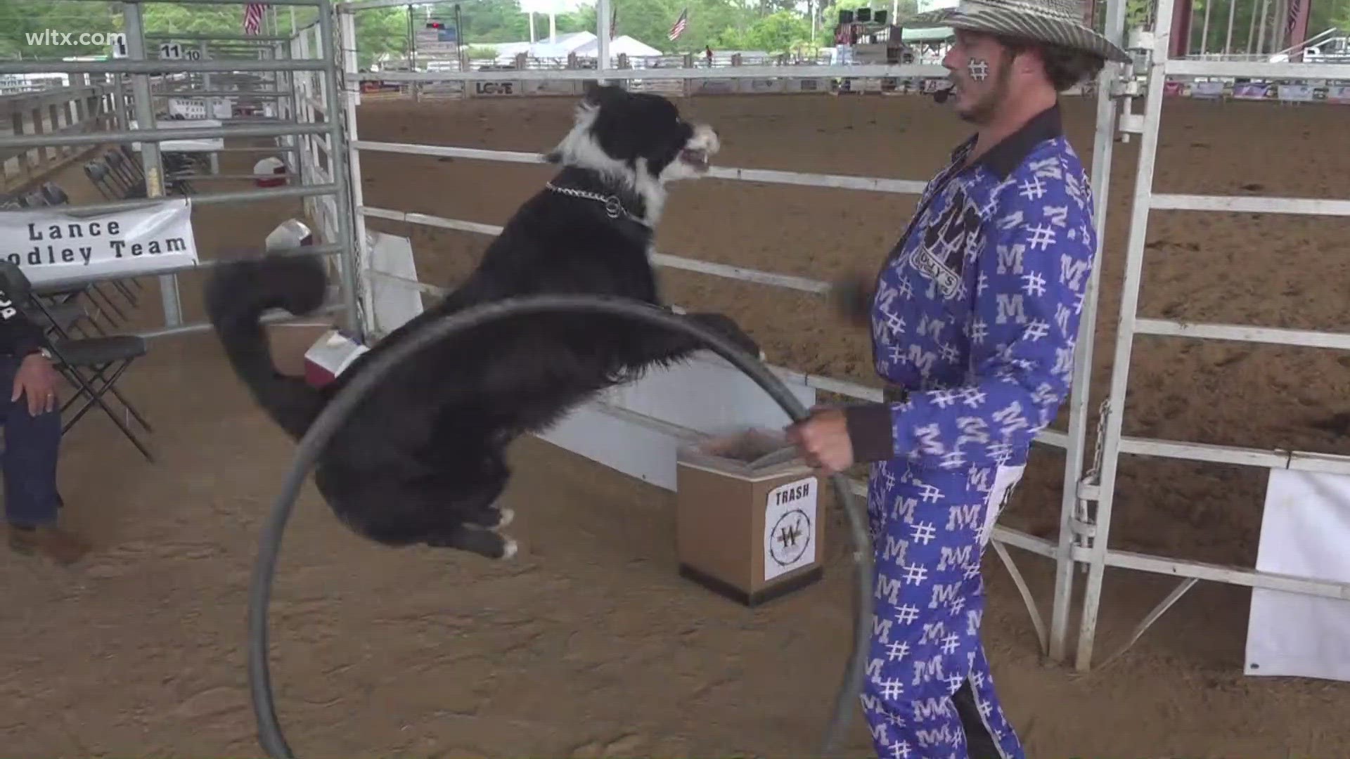 The rodeo is schedule for one more night, you can catch it on Saturday.