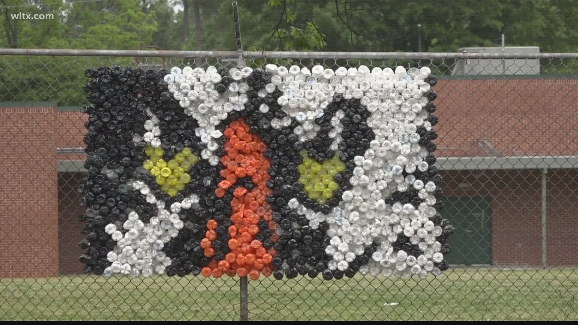 Students from six schools repurposed thousand of water bottles to bring the vision to life.