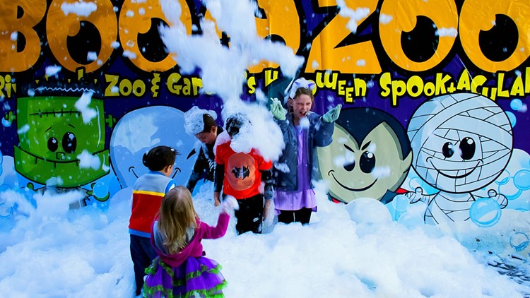 'Boo at the Zoo' kicks off at Riverbanks Zoo & Garden | wltx.com