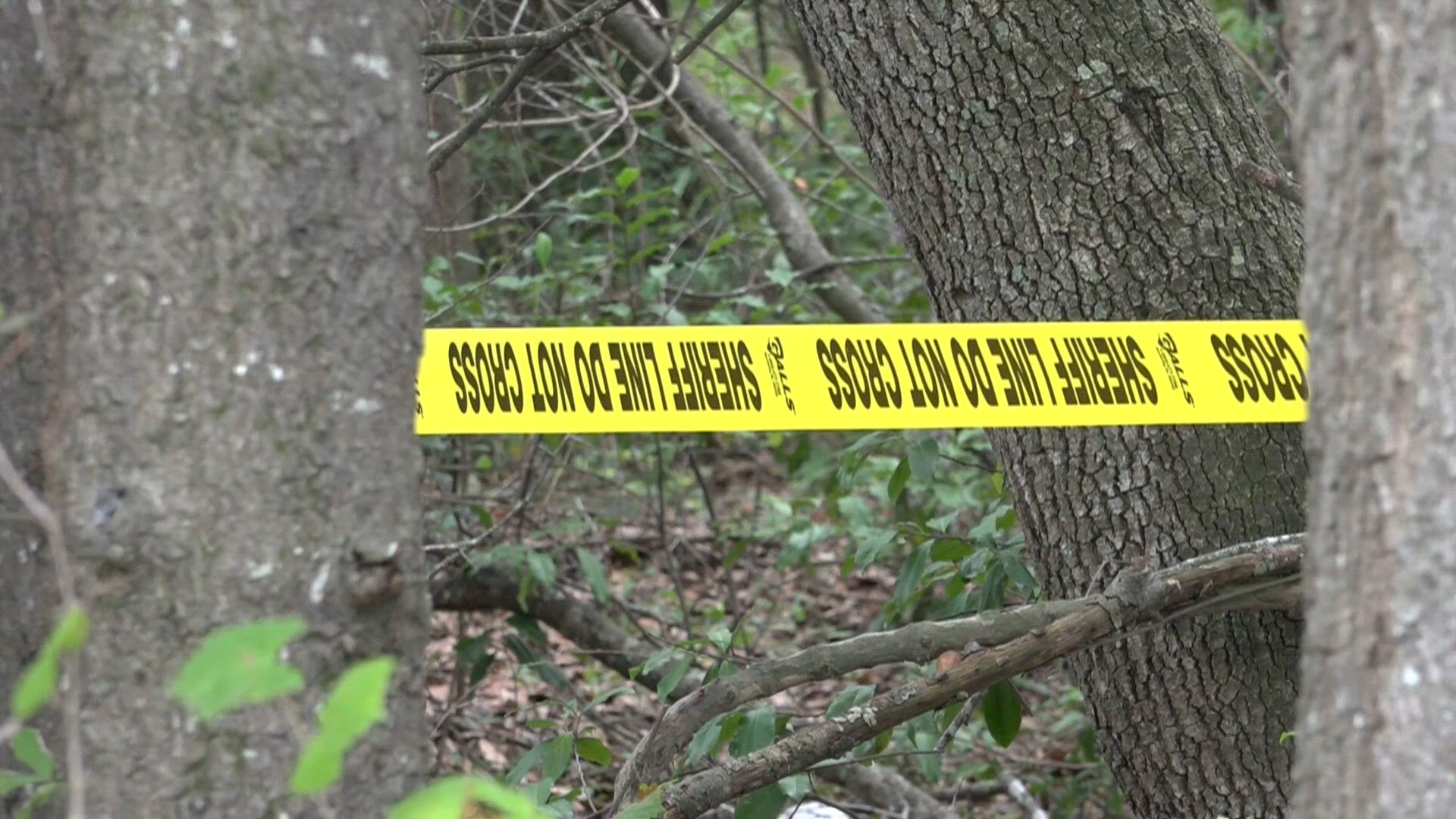 Investigators: Sumter County man was beaten, killed elsewhere before body was burned