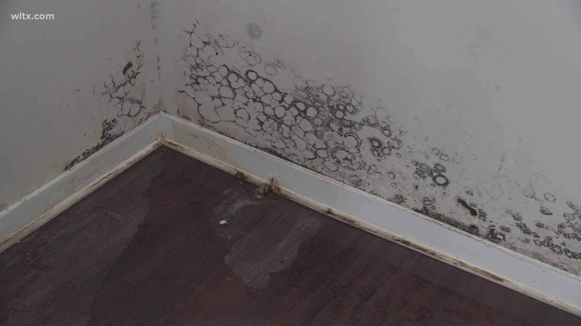 Three families in north Columbia are being told to vacate their apartments after City of Columbia's Code Enforcement discovered mold in their units.