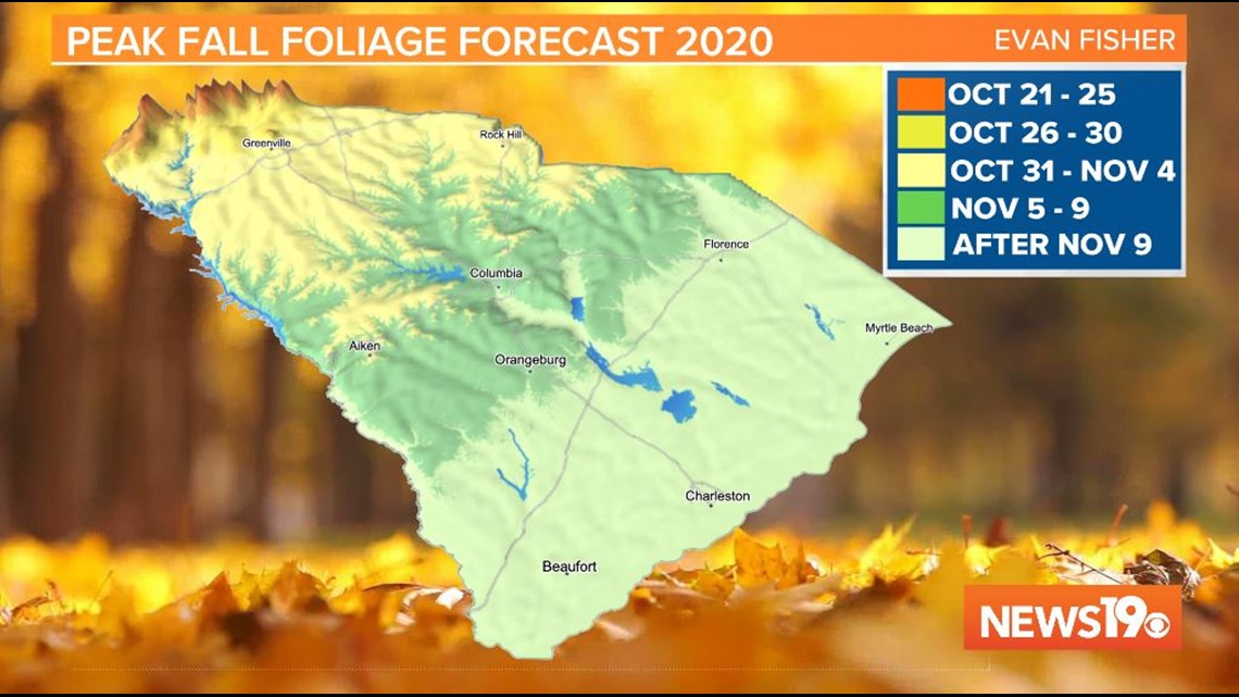 When to expect peak fall foliage this year in South Carolina