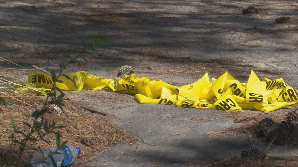 south carolina shooting july 4