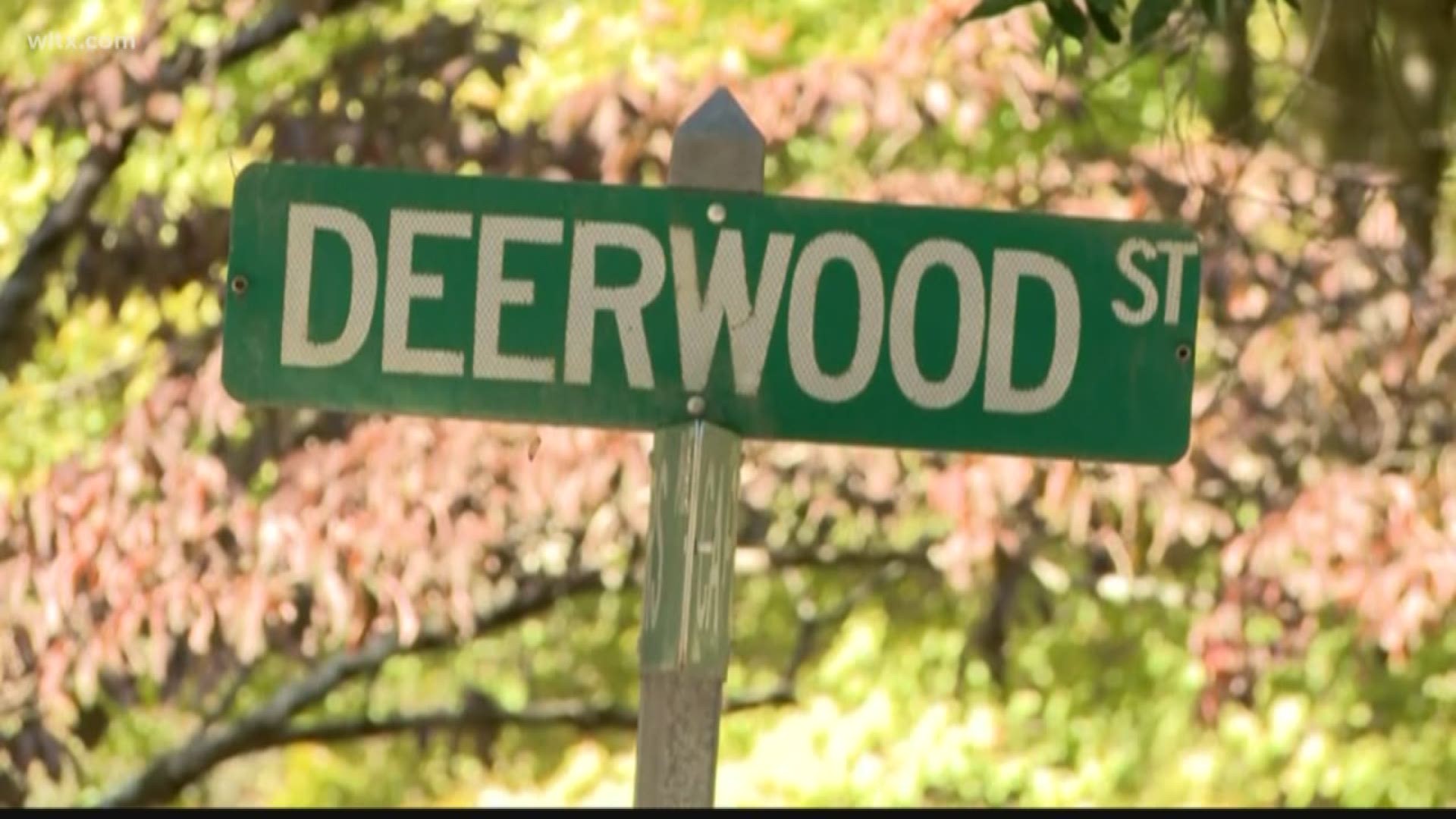 Richland county deputies are searching for whoever shot and killed a teenager in the 400 block of Deerwood street Sunday night around 9PM
