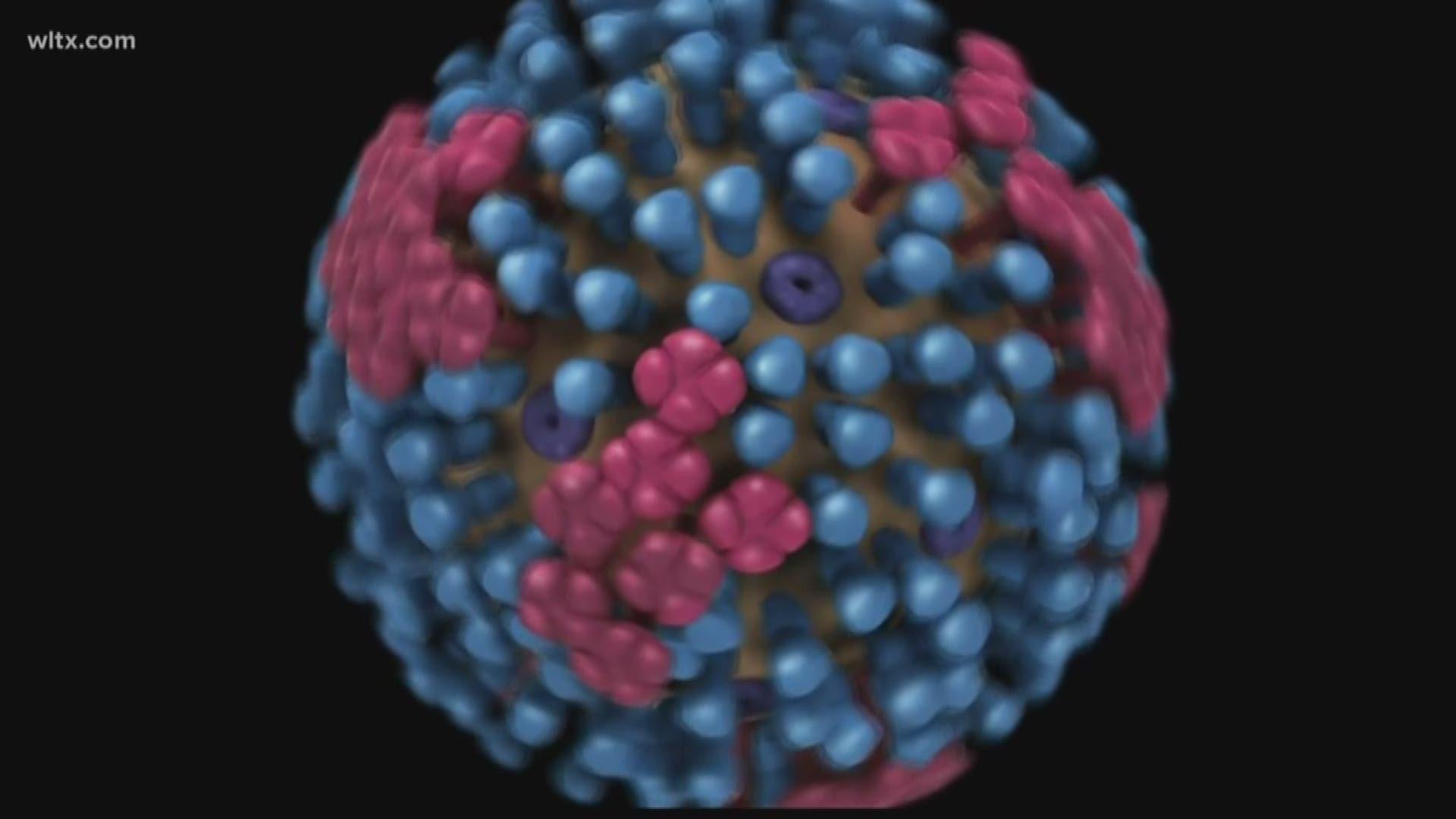 Over 70 flu deaths in South Carolina so far this year.