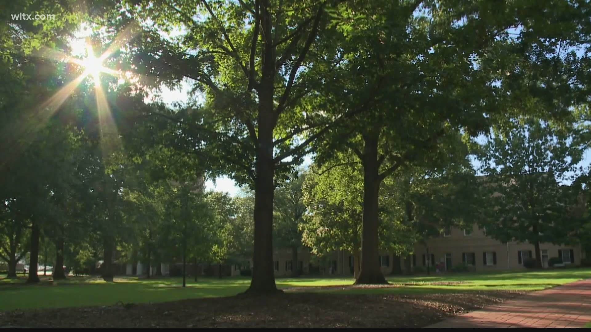 Students at the University of South Carolina will be required to get at least one COVID test per month.
