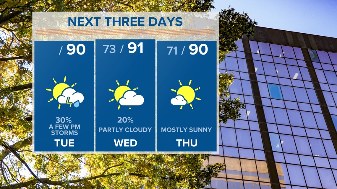 Typical Hot, Humid South Carolina Weather | wltx.com