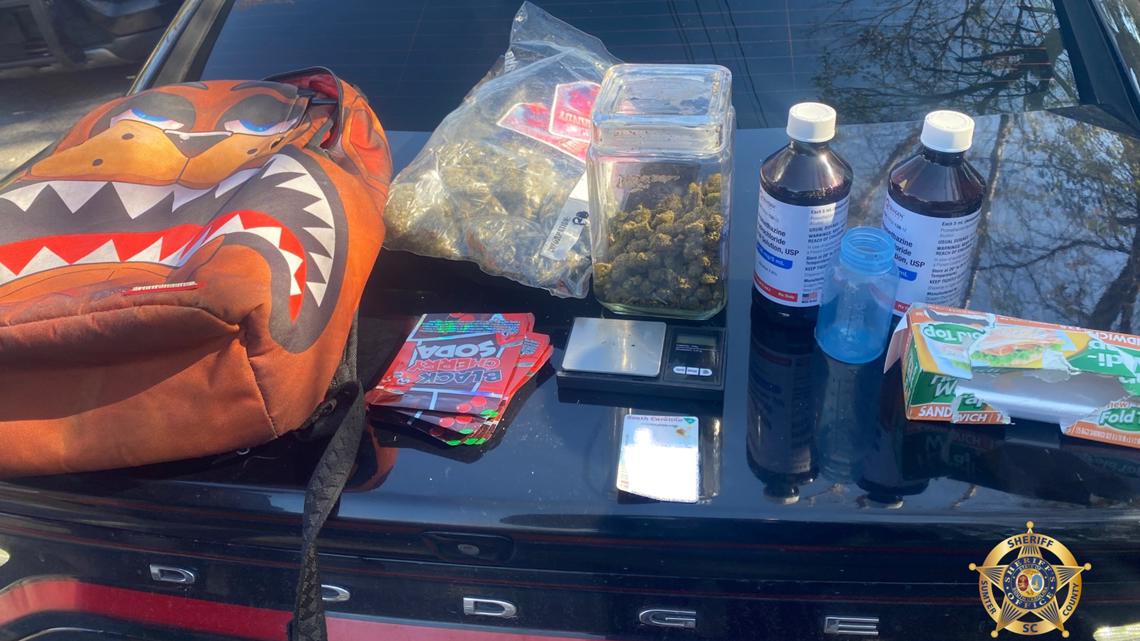 Traffic stop leads to chase, arrest of Sumter man on multiple charges