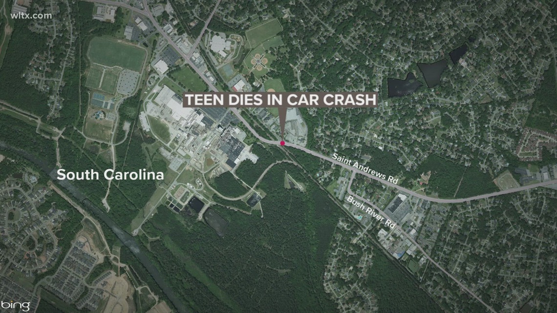 Teen dies in St. Andrews Road accident  | wltx.com