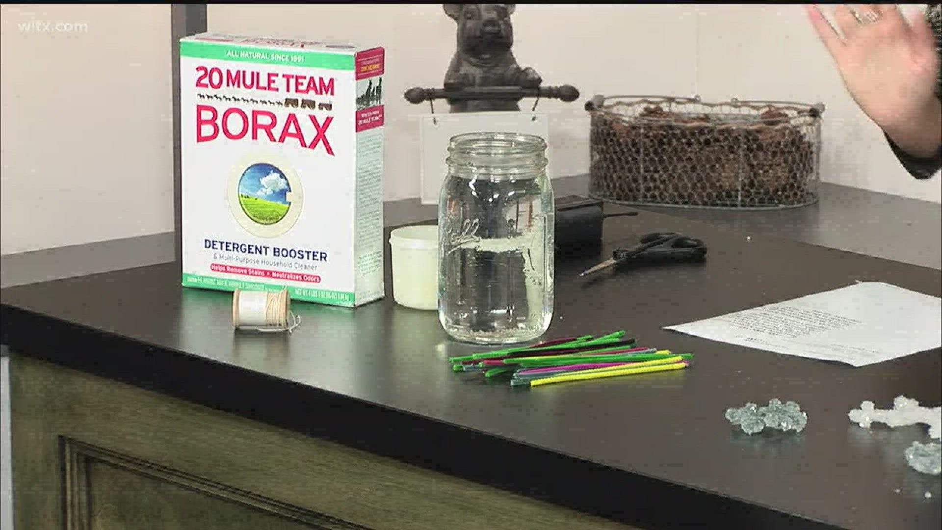 News 19's Whitney Sullivan shows us how to make a Borax Crystal Snowflake