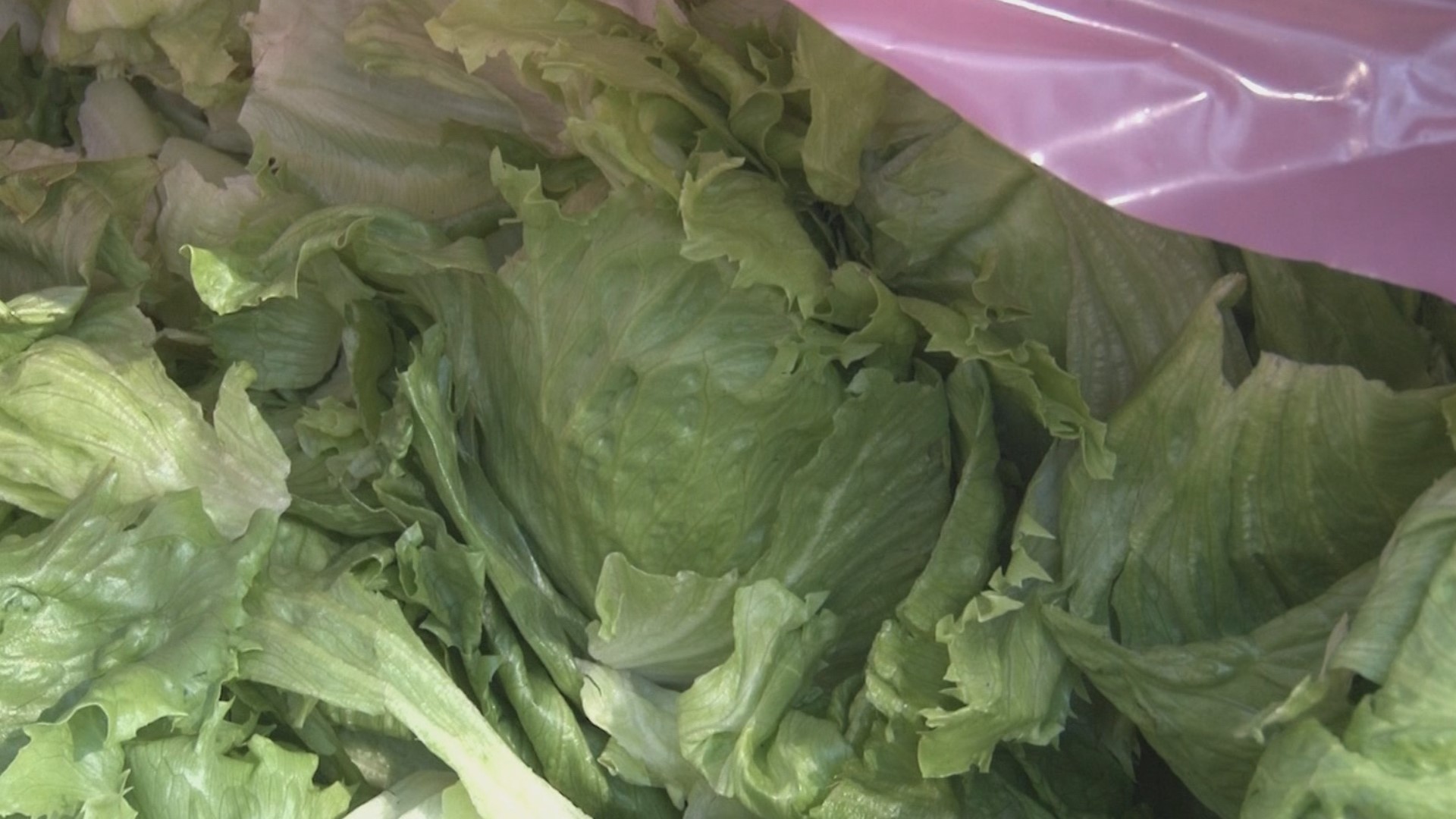 After a truck full of lettuce was sent away from its destination, some quick-thinking drivers found a way to give it away for free.