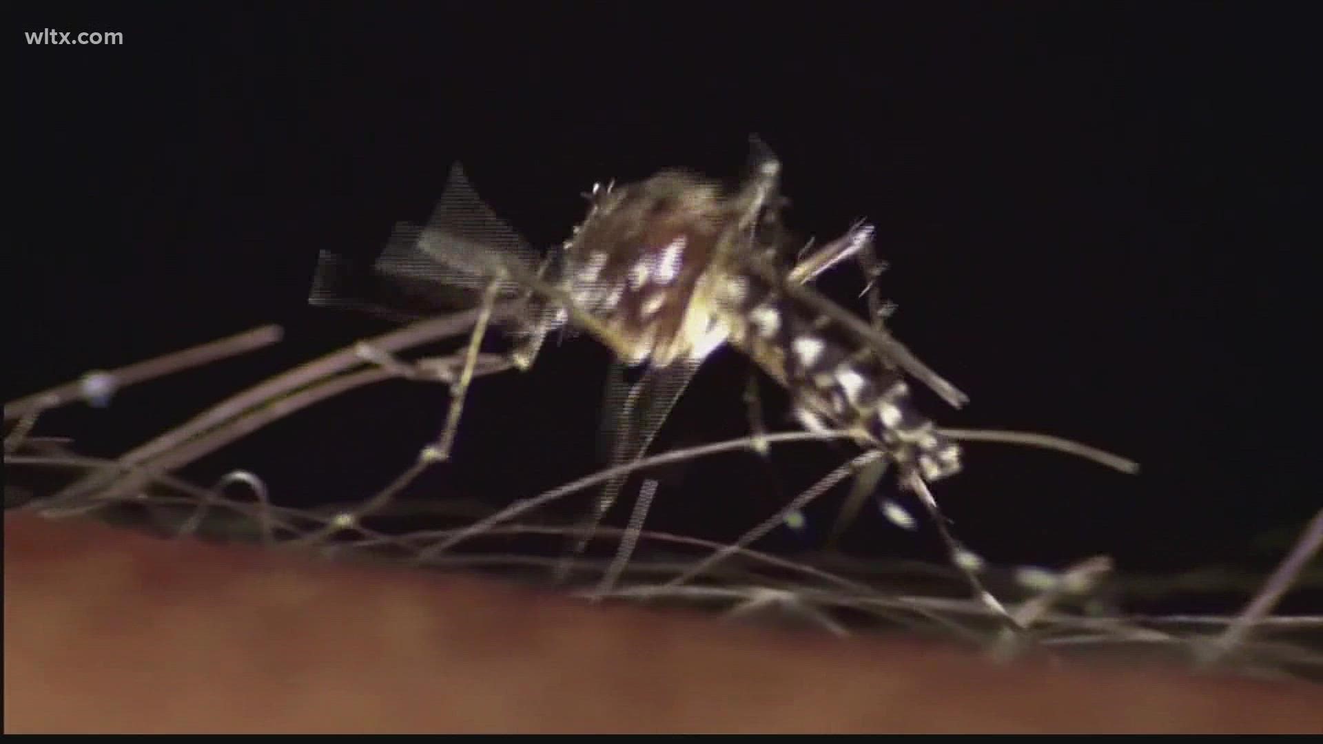 There is no vaccine or specific medicine available for West Nile virus.