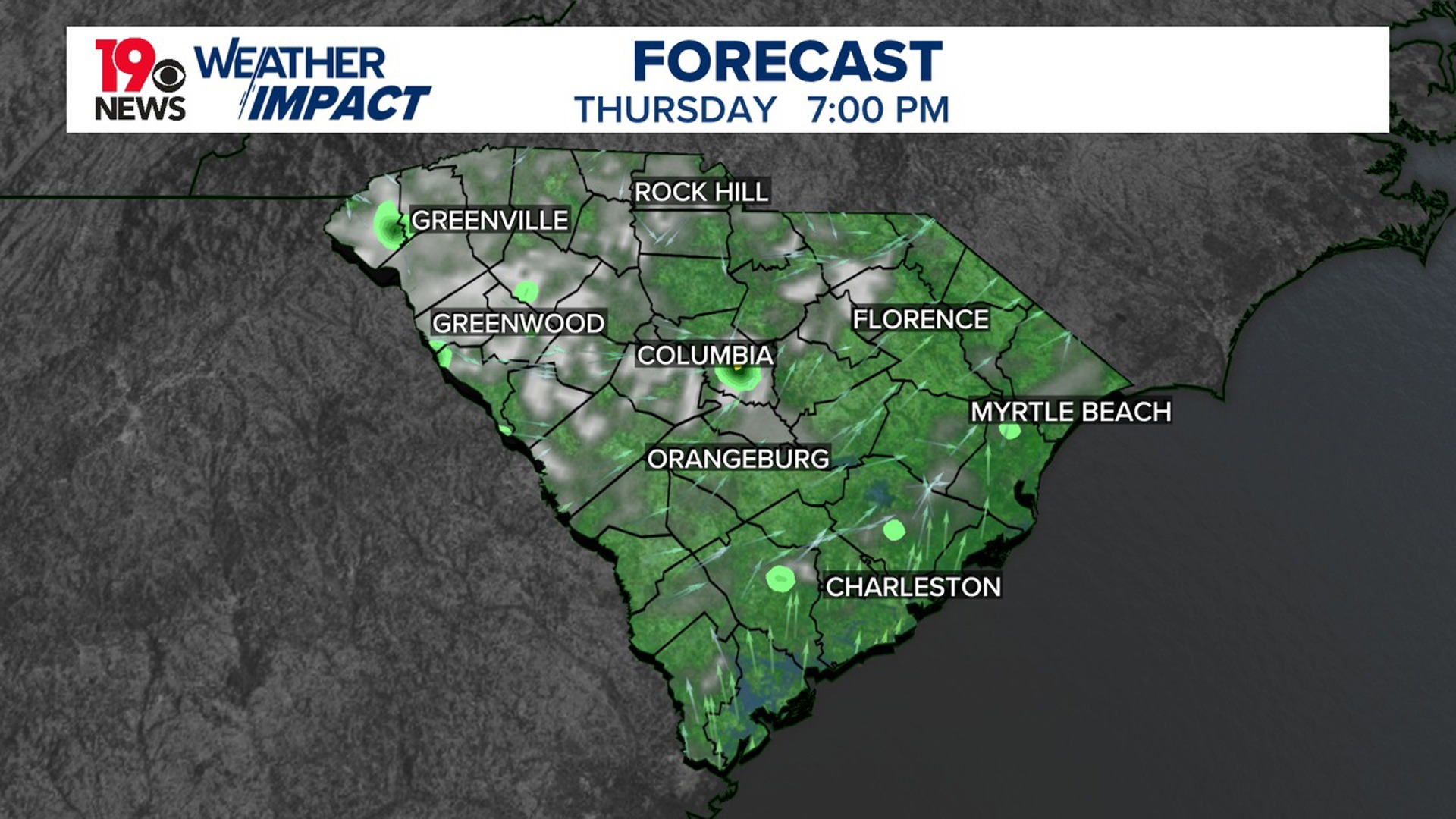 Weather impact alert: Heat advisory in effect for South Carolina | wltx.com
