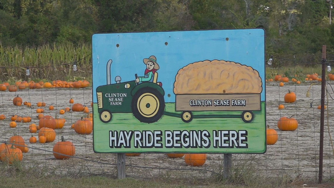 Fall agricultural attractions help SC farmers - Vimarsana News