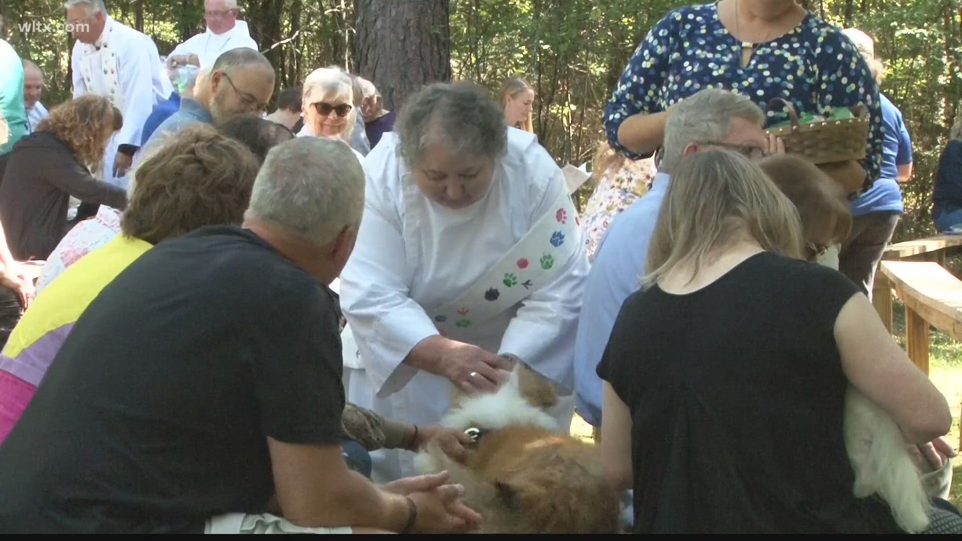 With a congregation full of animal lovers, the Saint Francis Church in Chapin hosted a special service to give them a blessing.