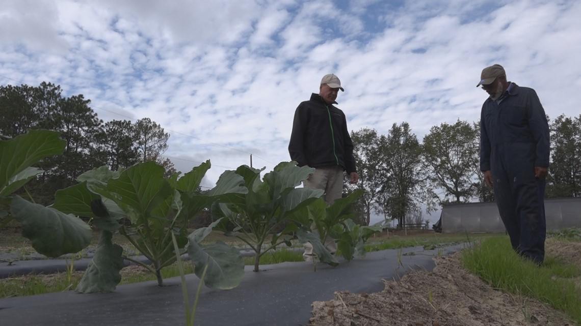 Lexington Community Garden feeds thousands in need