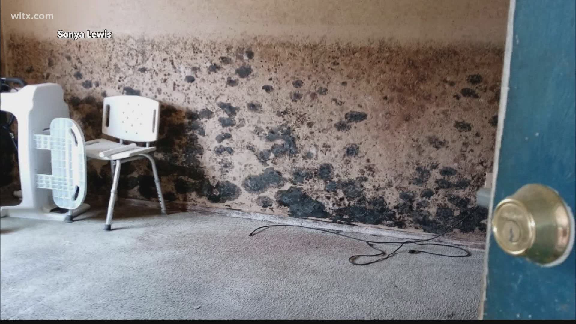 Residents at Hillandale Apartments say the units have mold, rodents and filth. This comes just two weeks after a fire at the complex displaced six tenants.