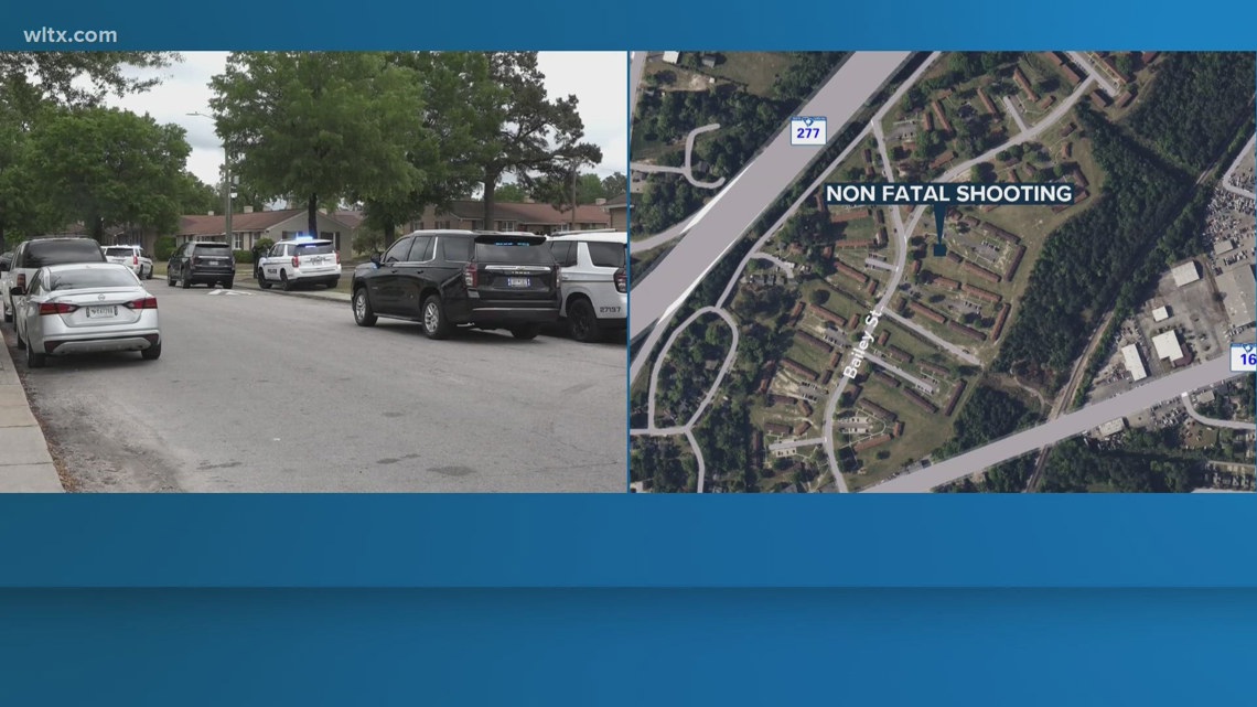 Arrest made in Bailey Street shooting | wltx.com