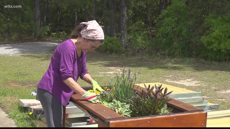 Rosewood public orchard helps residents
