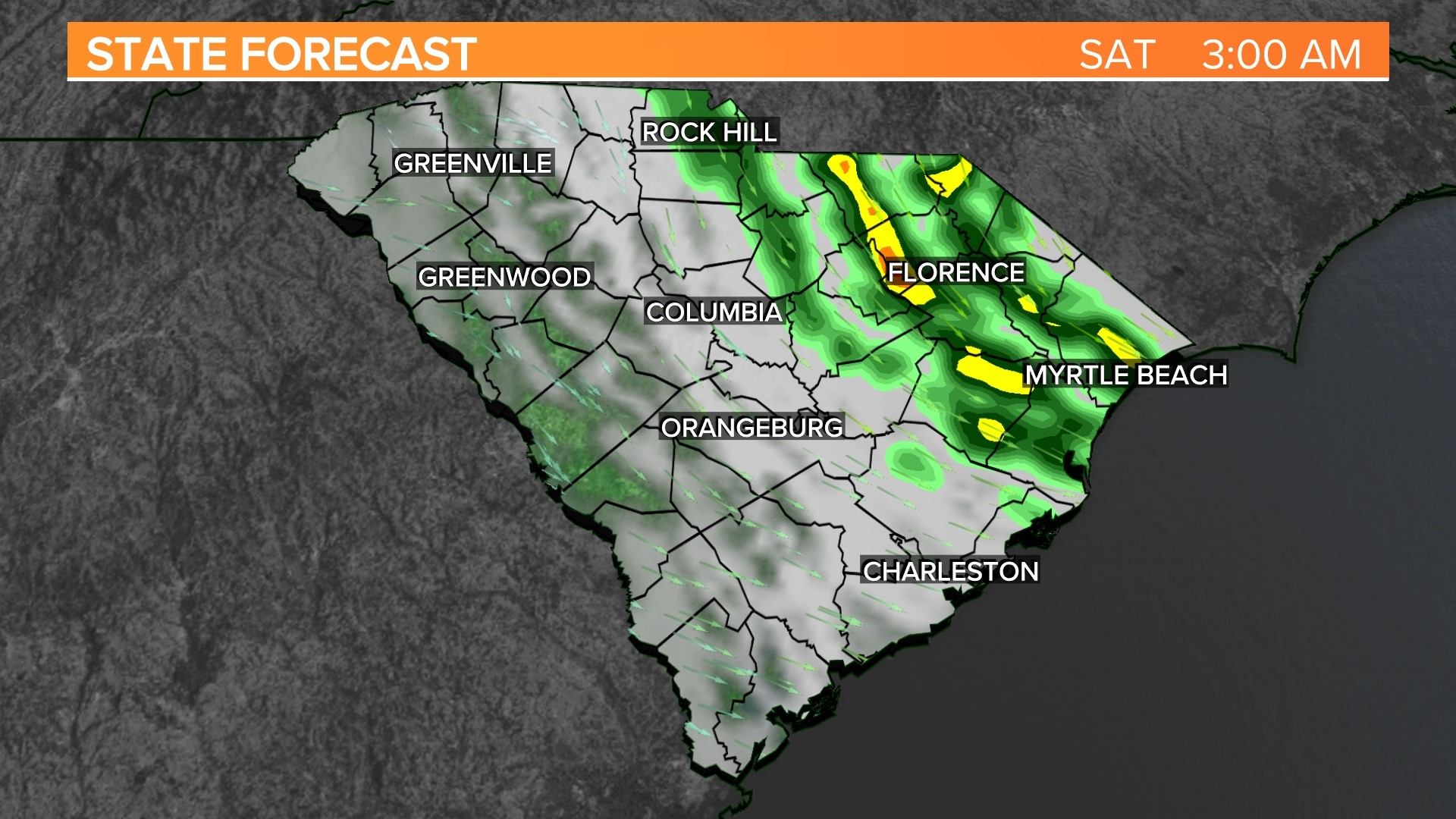 Coastal storm expected to bring wind, rain to South Carolina | wltx.com