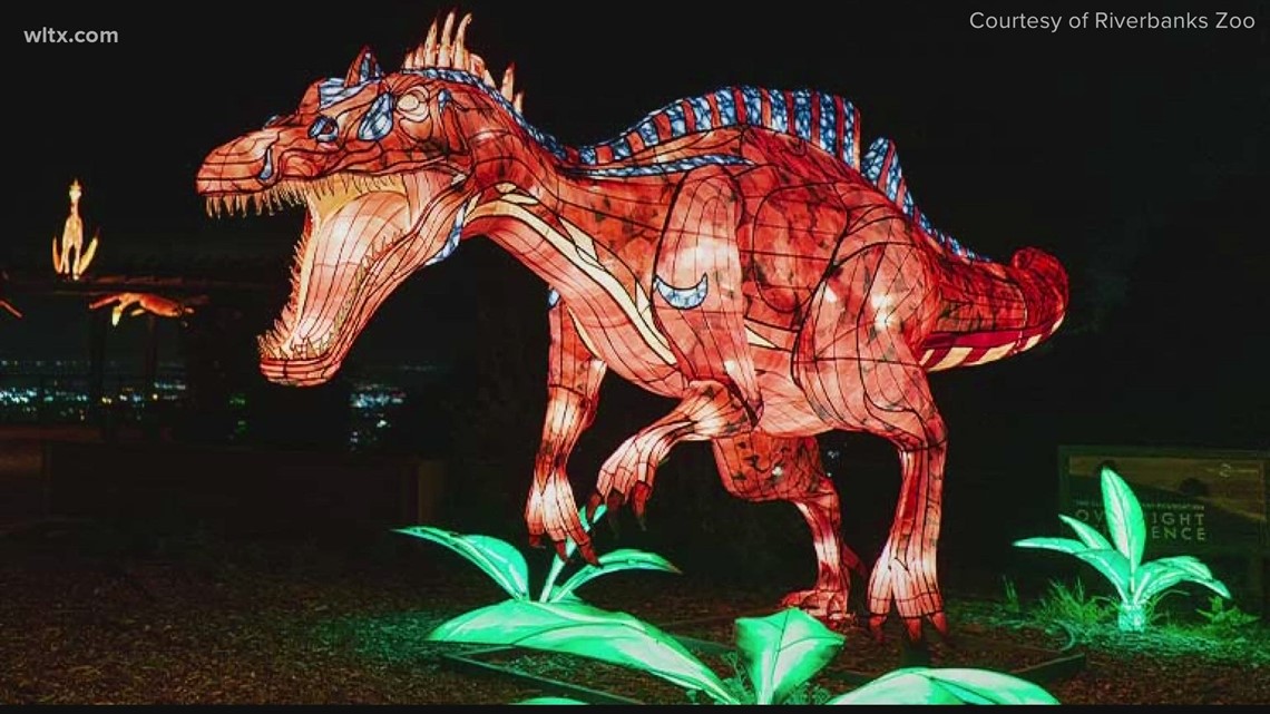 Riverbanks Zoo and Garden brings new Wild Lights experience to holiday