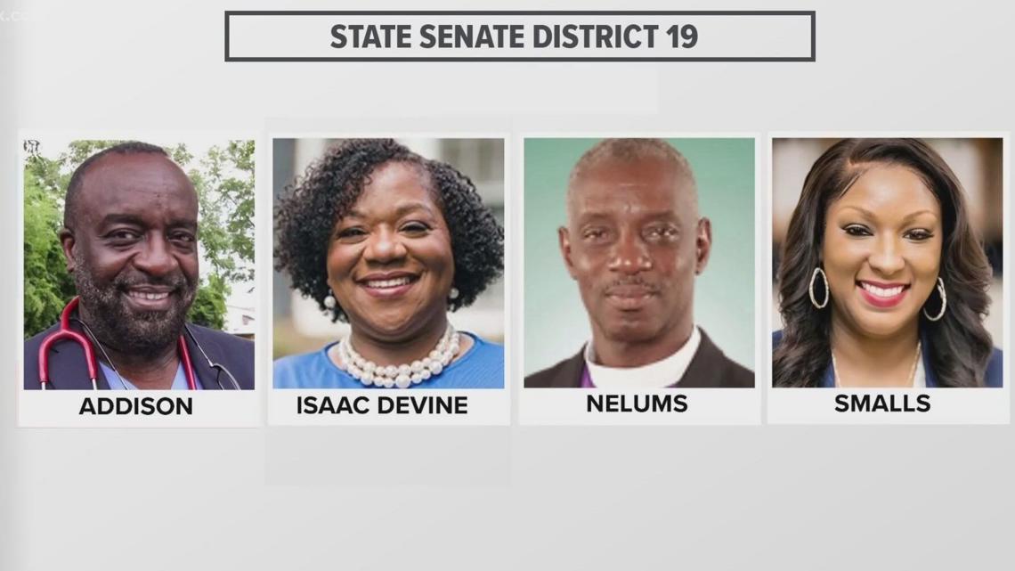 South Carolina Senate District 19 special election where to vote