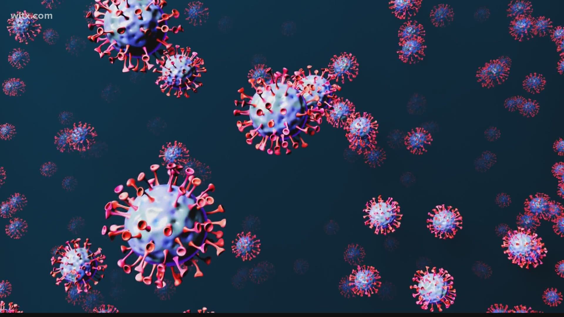 South Carolina doctors talk about the surge in cases of the coronavirus