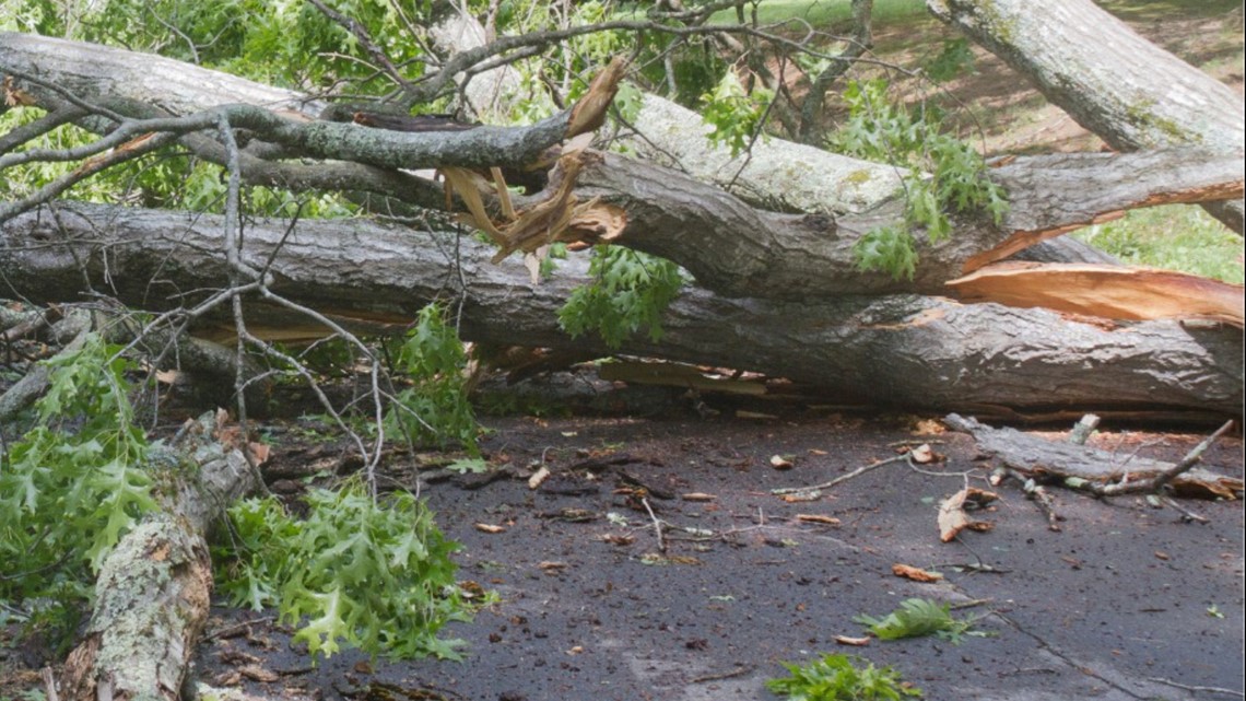 Pickens County, South Carolina tornadoes confirmed by NWS - Vimarsana News