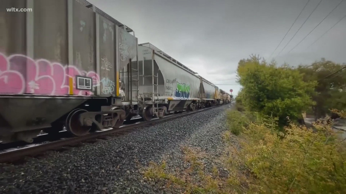 Scdot Requesting Public Comment On The 2024 Statewide Rail Plan Wltx