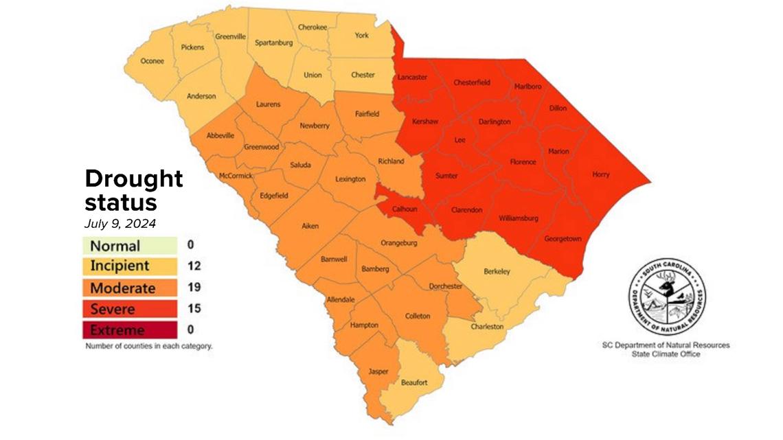 South Carolina drought advisory upgraded in all 46 counties | wltx.com
