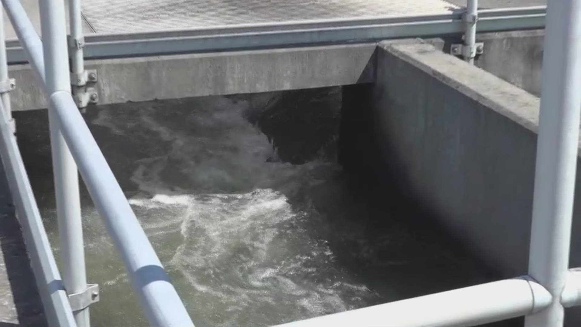 How the West Columbia Water Treatment Plant processes your water: