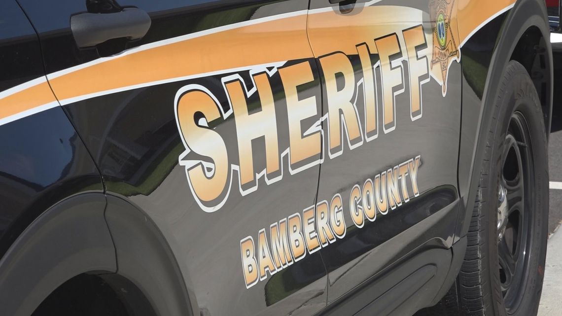 Bamberg County launches new wellness check program