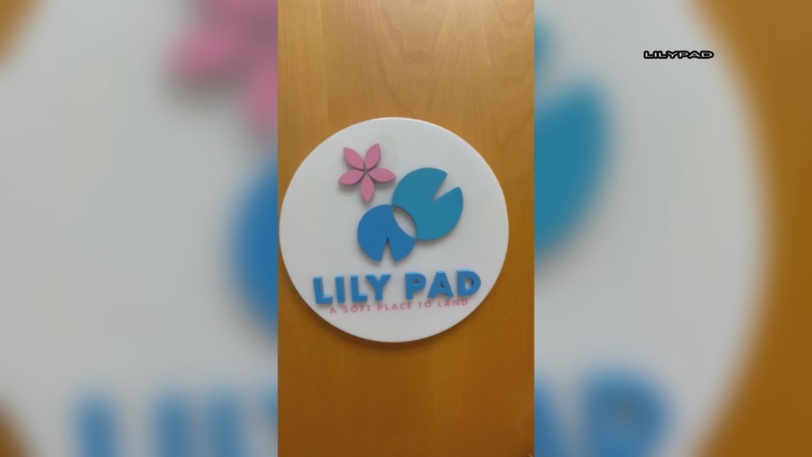 Lily Pad- “A Soft Place to Land” A NonProfit Organization