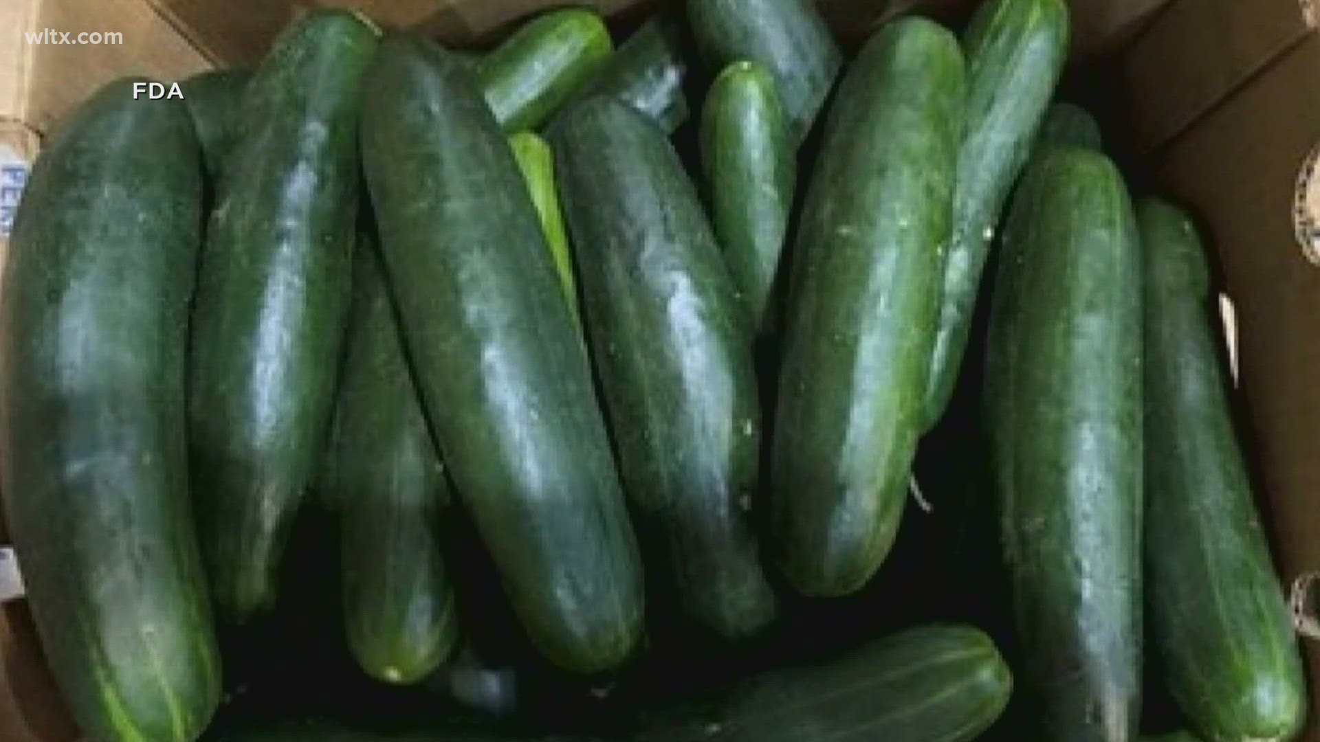 A Florida company is recalling cucumbers shipped to 14 states, including South Carolina, due to the risk of salmonella.