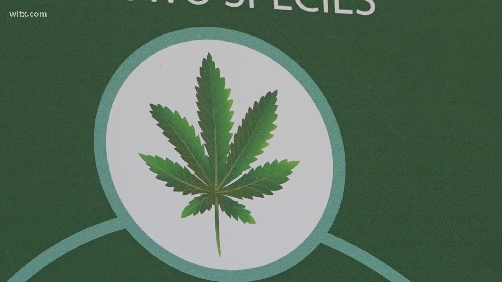 Many will have to forgo the "pot leaf" on many store signs.