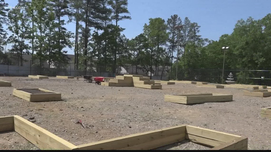 Community garden blooming in Irmo's Friarsgate neighborhood - Vimarsana News