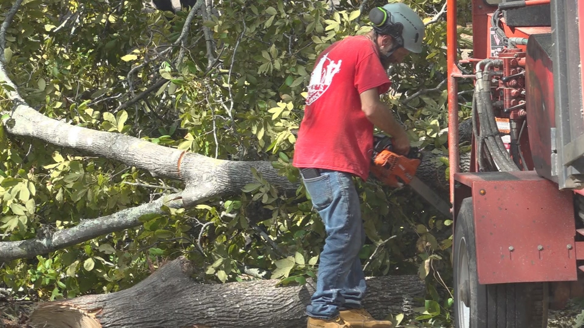 What to know if a tree is down on your home | wltx.com