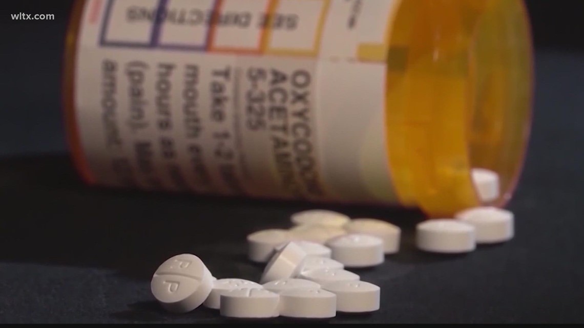 South Carolina gets settlement from opioid lawsuit - Vimarsana News