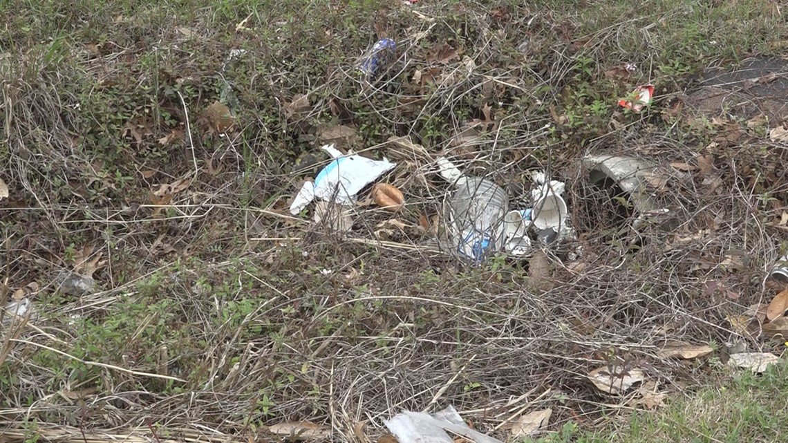Orangeburg County spring cleaning campaign to combat litter - Vimarsana News