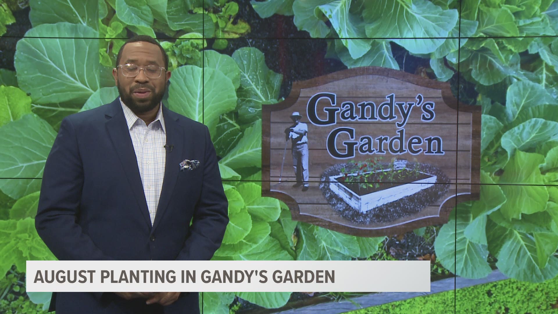 South Carolina typically won't see a taste of fall weather until October, but summer is the time to start planning. Here's how to end 2020 with a garden.