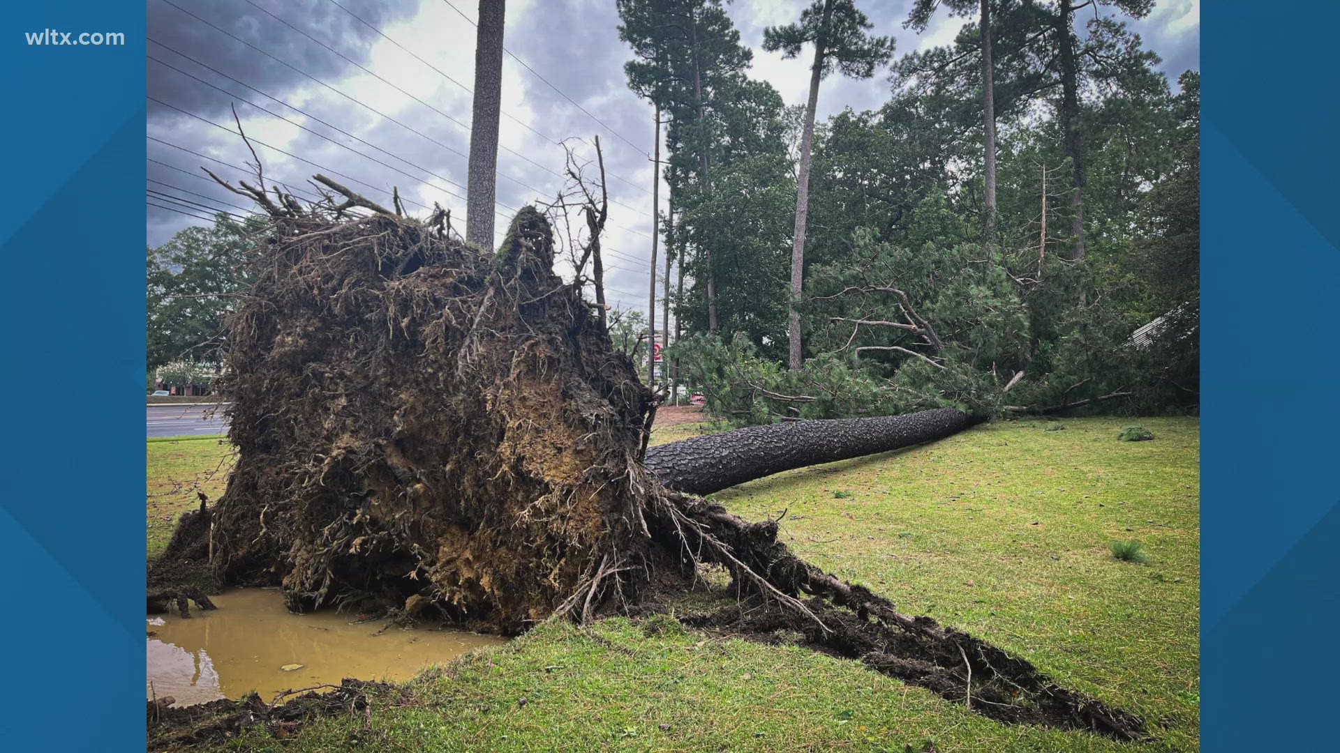 Right here at WLTX, a huge tree fell in front of our station and we experienced some flooding and tons of debris from rains and winds.