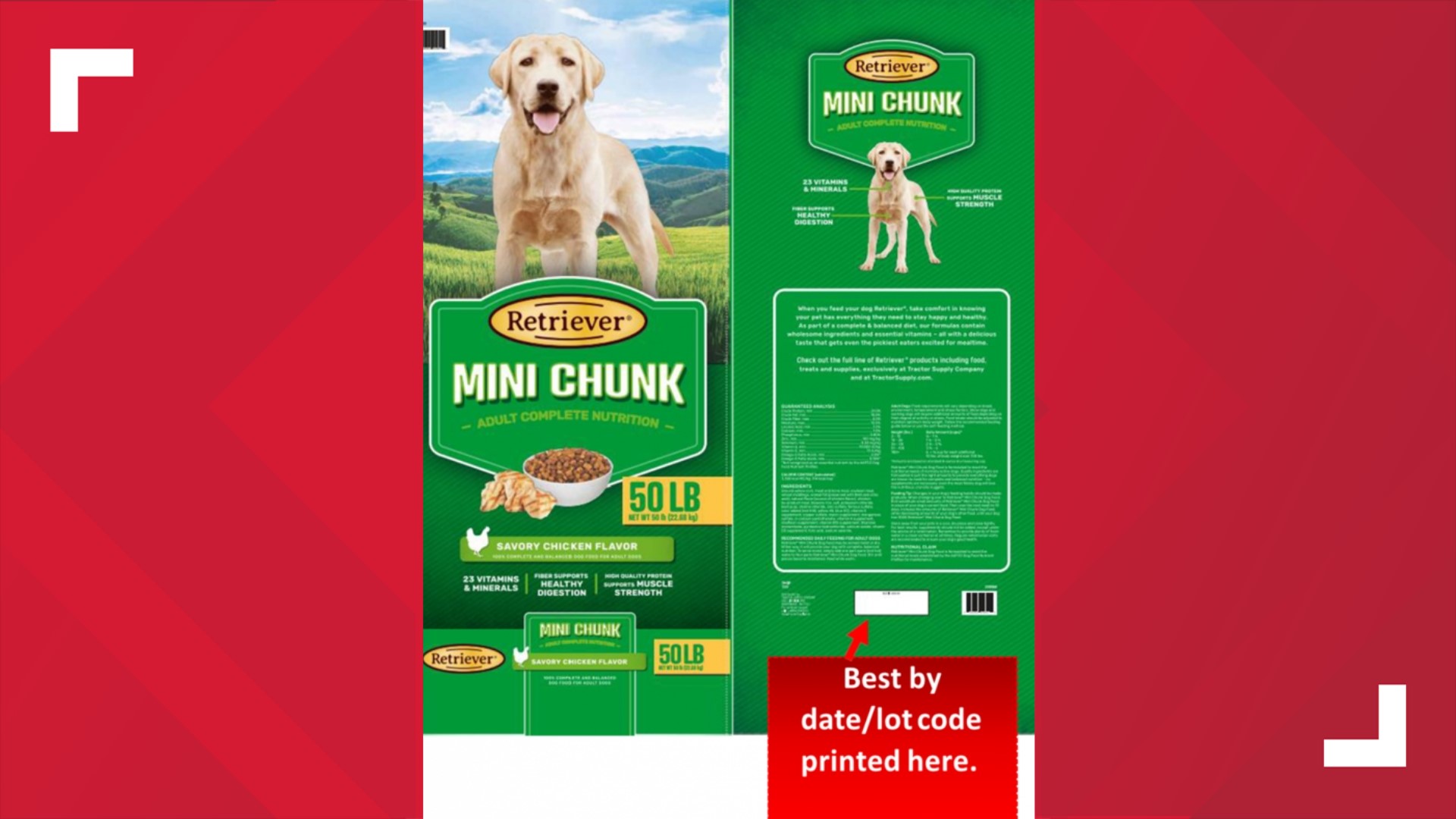 Multiple brands of dog food recalled as FDA warns of salmonella