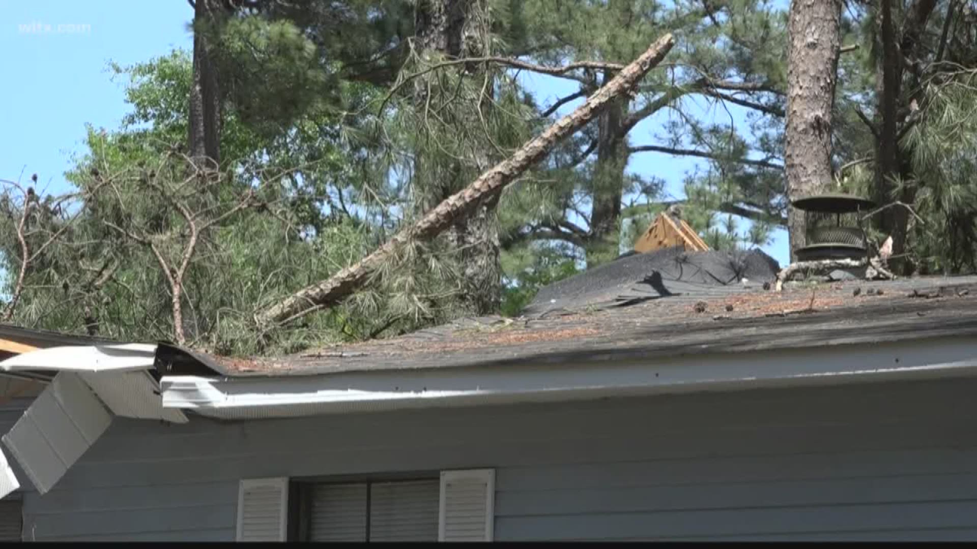 A 3-year-old boy remains in critical condition after a tree fell on his home during last Friday's storms in Sumter.