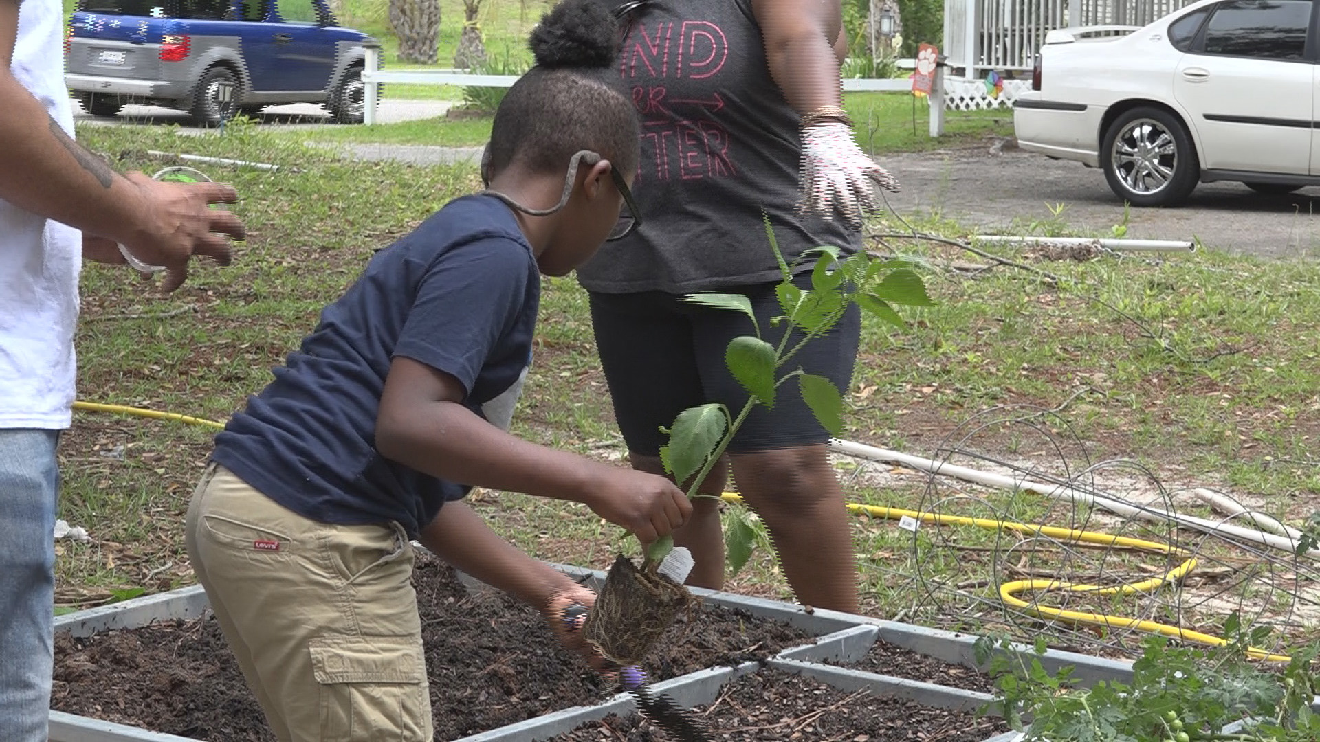 Peyton's Place community garden opens in Batesburg-Leesville, SC | wltx.com