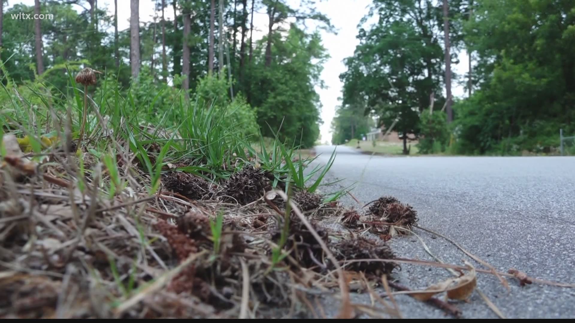 A 13-year-old was traveling south on a kicker mini bike when he left the road, struck a mailbox and collided with a tree. He was wearing a helmet.