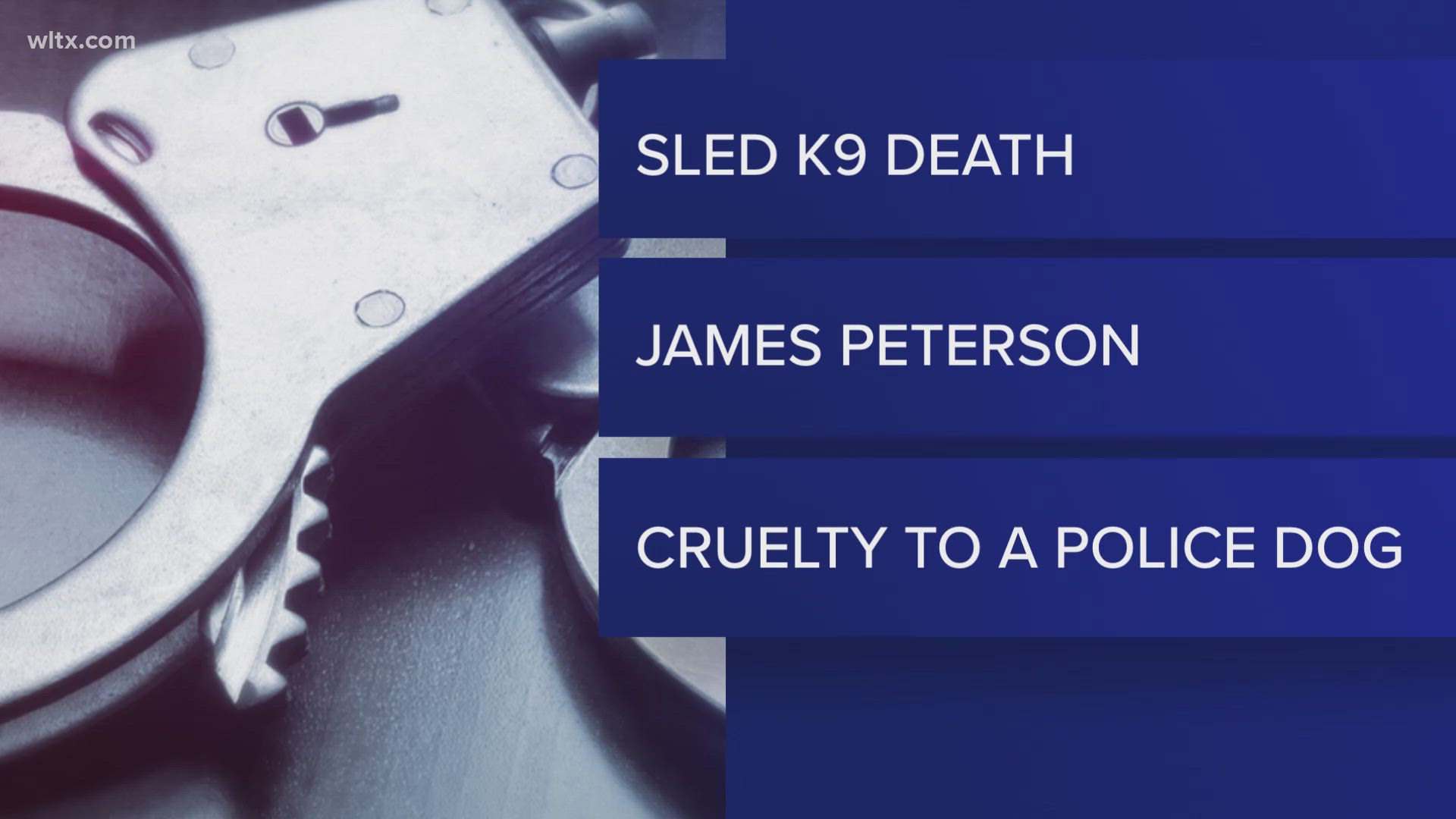 James Robert Peterson faces multiple charges, including cruelty to a police dog, after allegedly shooting and killing SLED K-9 Coba during an arrest attempt.