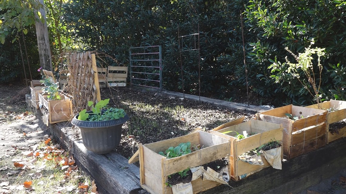 A new urban farm aims to feed food insecure - Vimarsana News